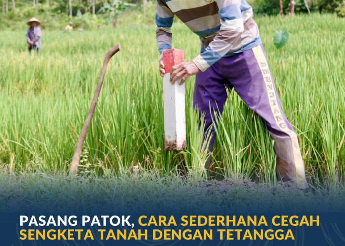 Pasang Patok, Cara Sederhana Cegah Sengketa Tanah dengan Tetangga