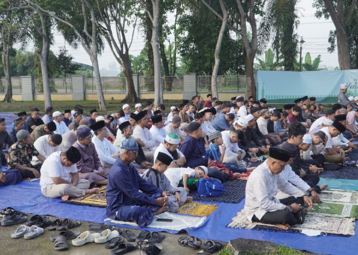 PTPN IV Regional IV Potong 7 Sapi 3 Kambing Kurban 