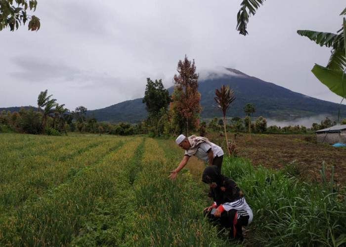 Ini Nama 5 Desa yang Belum Punya Jalur Evakuasi Gunung Kerinci. Semua Gegara ini..