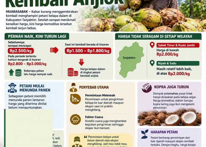 Belum Sebulan Naik, Harga Kelapa Tanjabtim Kembali Anjlok