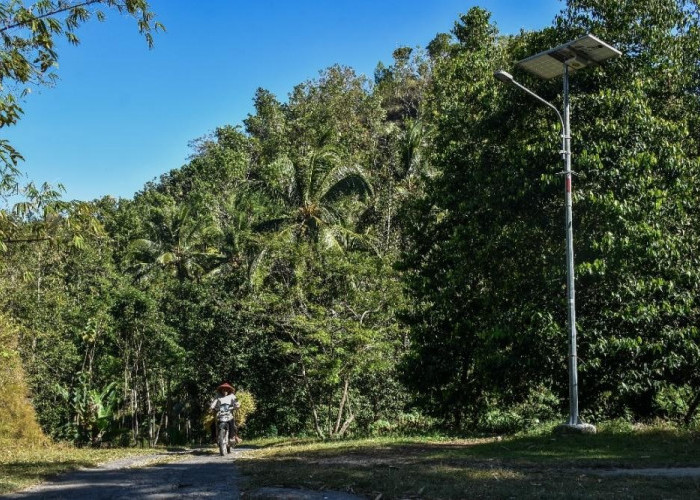 135 PJU TS Berbasis Energi Bersih Terangi Wilayah Gunung Kidul