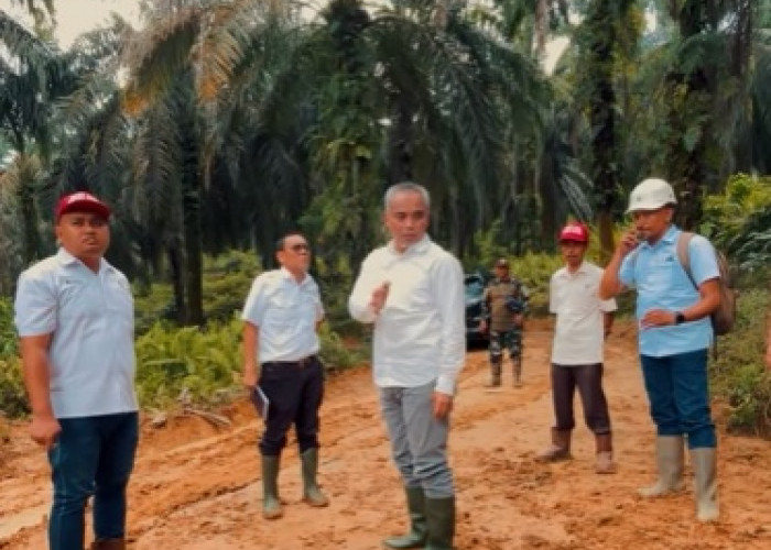 Tekankan Pentingnya Infrastruktur dan Pemeliharaan Kebun, Region Head Regional IV Tinjau Kebun Durian Luncuk