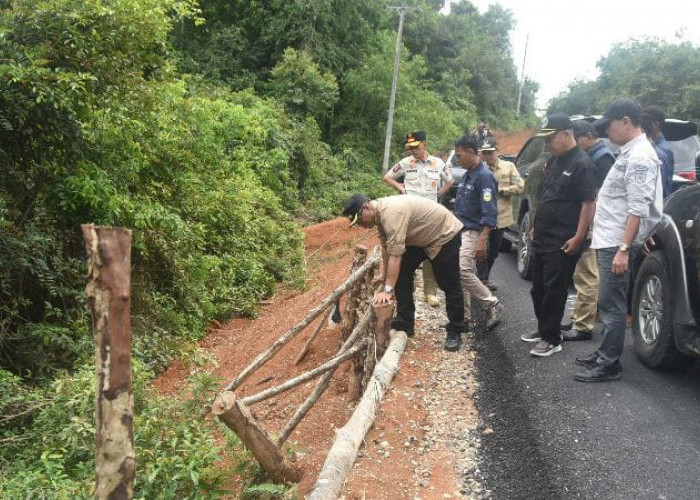 Cek Pembangunan Jalan di Pauh, Pj Bahri Janjikan Lanjutkan 2025