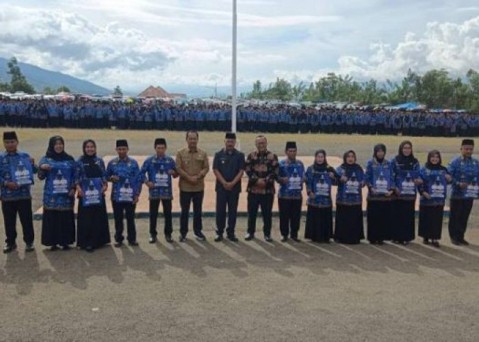 Insentif PPPK Paruh Waktu Rp 500 Ribu