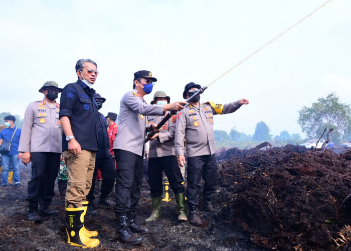Polda Jambi Tetapkan Pemilik Lahan Terbakar di Gambut Jaya sebagai Tersangka