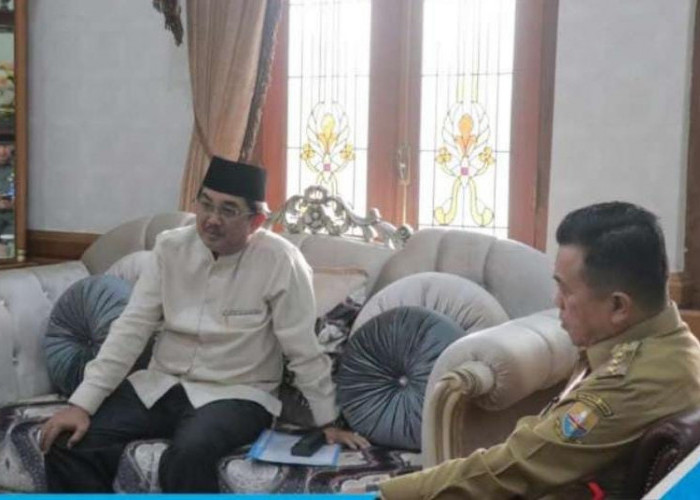 Bupati Lakukan Pertemuan Bersama Gubernur Jambi Bahas Tata Niaga Komoditi Pinang di Kabupaten Tanjab Barat