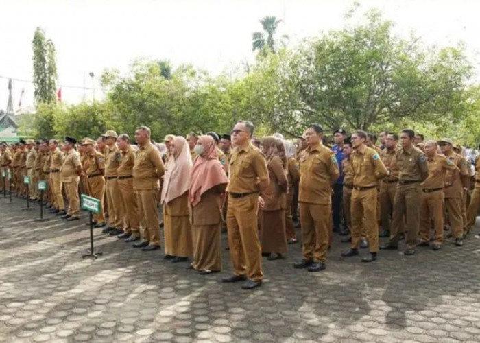 Tahun Ini, Pemkab Batang Hari Buka Ratusan Formasi CASN