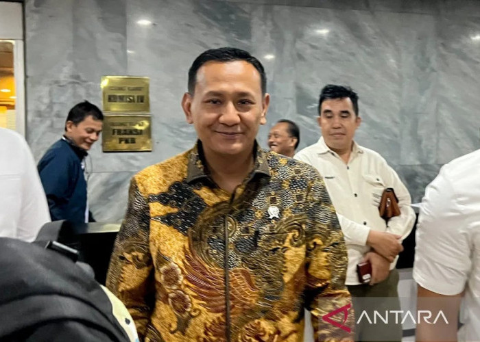 3,32 Juta Ha Kawasan Hutan Terbangun Lahan Sawit.. Ini Yang Diungkapkan Wamenhut.. 