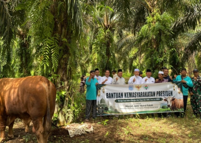 Wabup A. Khafidh Serahkan Sapi Kurban Bantuan Presiden di Empang Benao