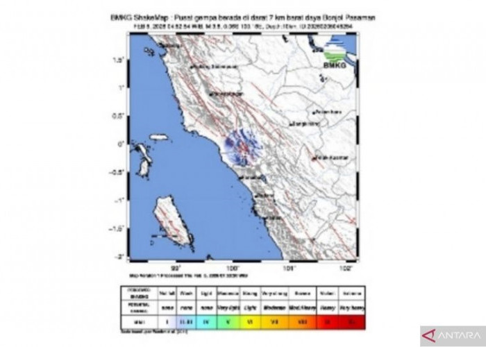 Gempa Magnitudo 3,1 Guncang Pasaman-Sumbar Kamis Pagi