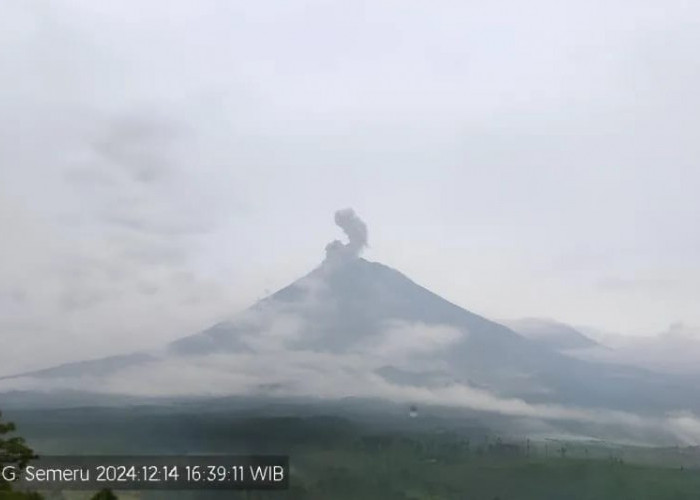 Gunung Semeru Kembali Erupsi, Letusan Setinggi 900 Meter