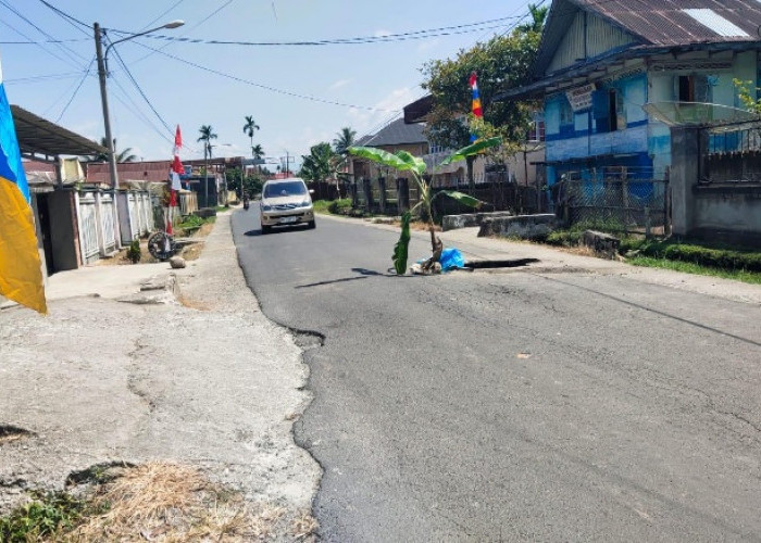 Warga Pendung Hiang Sungai Penuh Tanam Pohon Pisang di Jalan