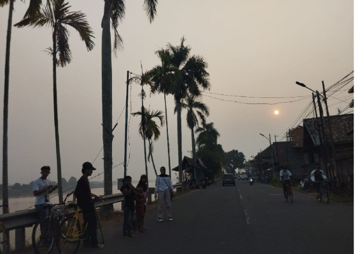 Kabut Asap Makin Pekat Selimuti Kota Jambi, Udara Masuk Kategori Sangat Tidak Sehat