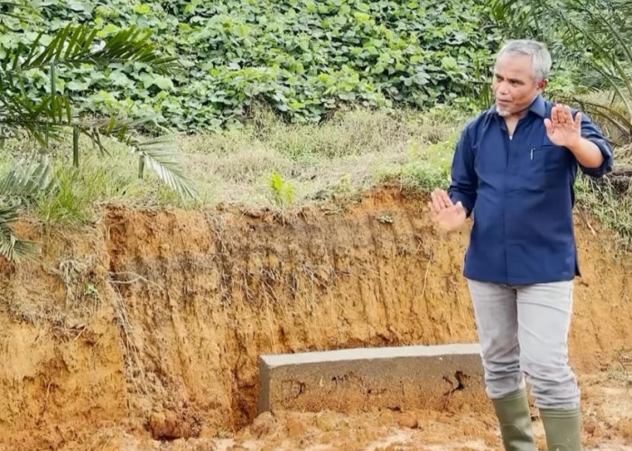 Region Head PTPN IV Regional IV Tinjau Jalan Produksi dan TBM di Kebun Durian Luncuk