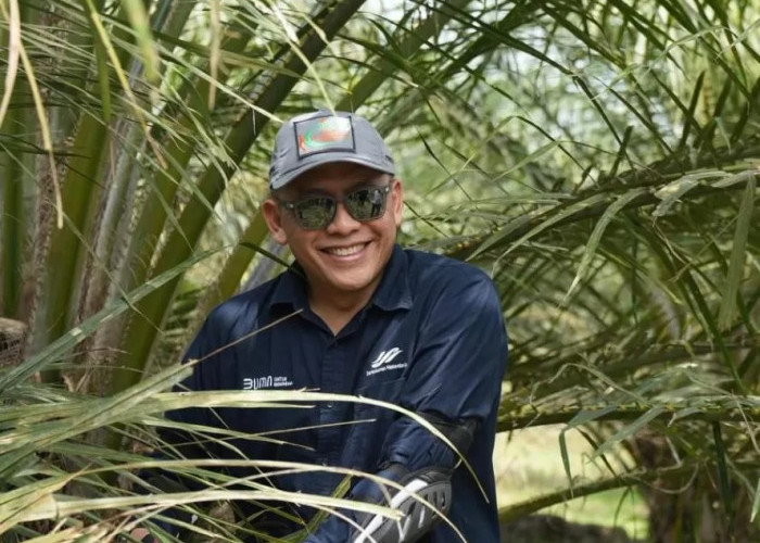 Berikut Langkah PalmCo Perkuat Peran Strategis Jaga ketahanan Pangan Nasional