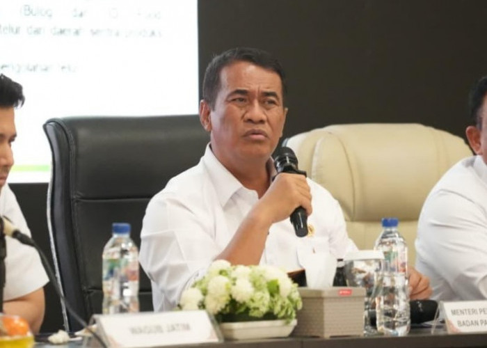 Mentan Amran Ambil Tindakan Tegas Copot Korwil KPPG Surabaya karena Telur Peternak Belum Terserap