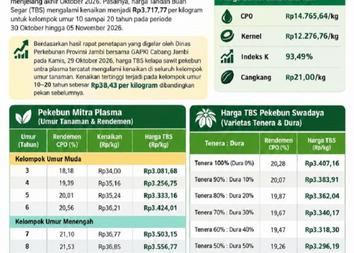 Harga TBS Sawit Jambi Meroket Jadi Rp3.717/Kg, Ini Rincian Harga TBS 30 Oktober-5 November 2026