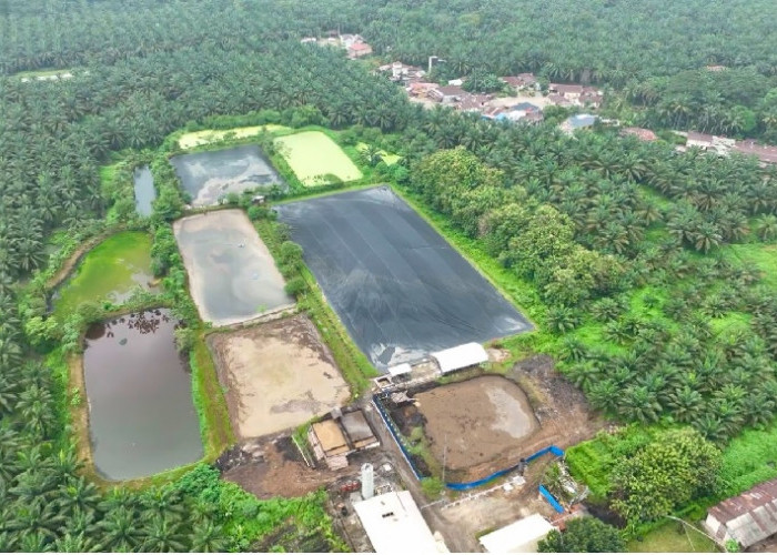 Dua PLTBg Ini Jadi Andalan PalmCo Tekan Biaya Energi di Tengah Gejolak Global