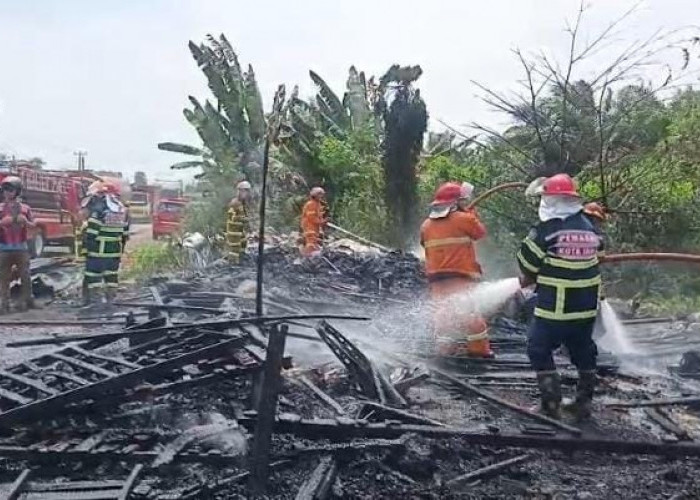 Diduga Dibakar ODGJ, Tempat Penampungan Barang Bekas di Payoselincah Ludes Terbakar
