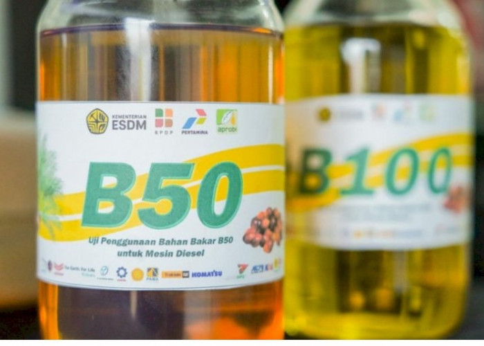 Program Mandatori B50 Resmi Berjalan, Kunci Utama Kemandirian Energi dan Hilirisasi Sawit