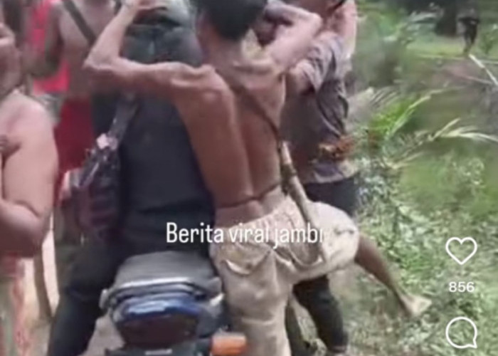 Dihimbau Tidak Ambil Buah Perusahaan, Reaksi Oknum SAD Makin Meresahkan