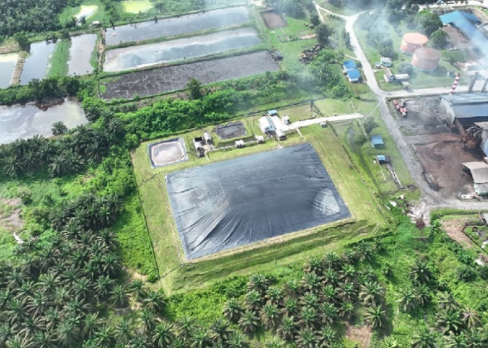 Lewat Proyek Biogas PTPN IV PalmCo, Publik Serap 5.202 Ton Emisi Karbon