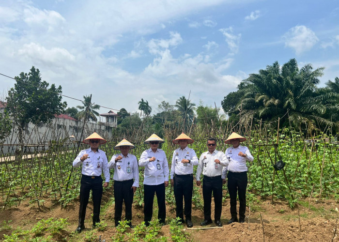 Kakanwil Ditjenpas Jambi,Pastikan Program Ketahanan Pangan dan Monitor Kebun Sayur Lapas Kelas IIB Muara Tebo