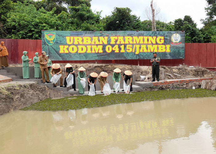 Danrem 042/Gapu Tinjau Urban Farming Kodim 0415/Jambi, Dorong Ketahanan Pangan Kota