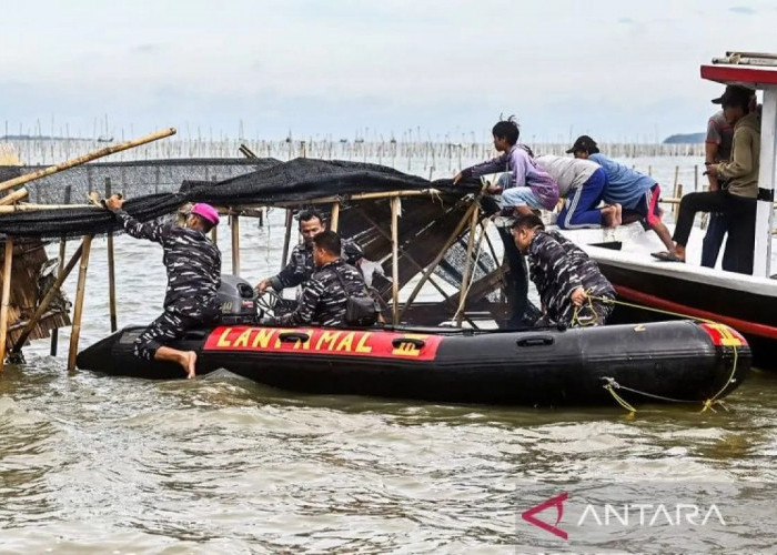 TNI AL Bongkar Pagar Laut Sesuai Dengan Perintah Presiden Prabowo