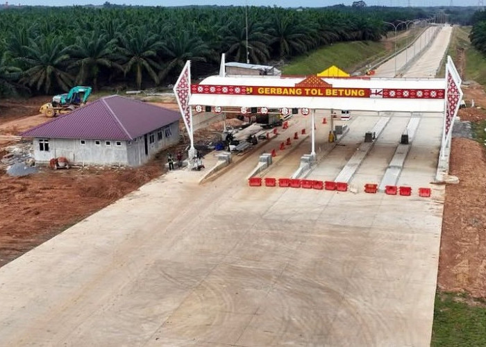 Progres Jalan Tol Betung-Jambi 170 Km Terus Dikebut, Berikut Update Terbarunya 