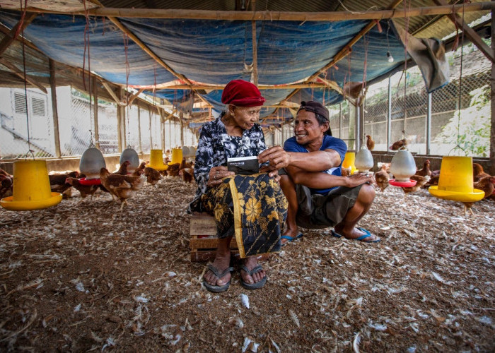 Bantu Pemulihan Pasca Gempa Cianjur, BRI Peduli Terus Layani Masyarakat Terdampak