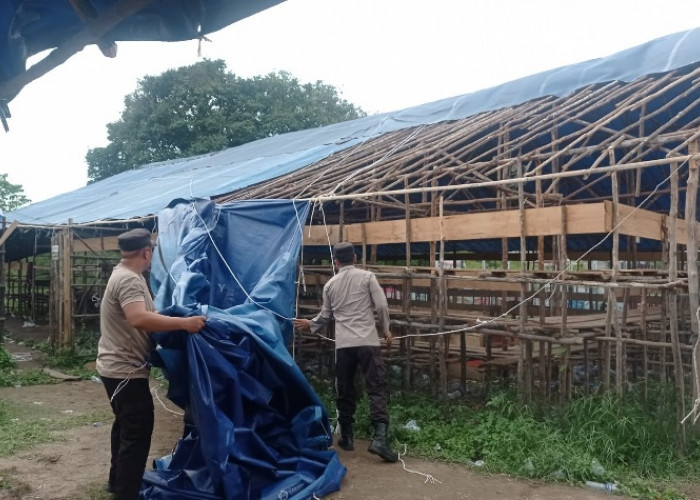 Tempat Diduga Perjudian Sabung Ayam di Jambi Timur Dibongkar Petugas