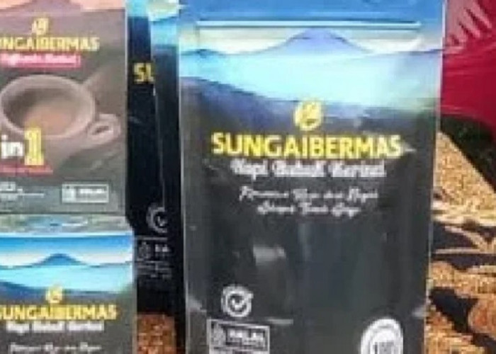 Kopi Sungai Bermas Kian Menggeliat, UMKM Lokal Kerinci Tembus Pasar Harian