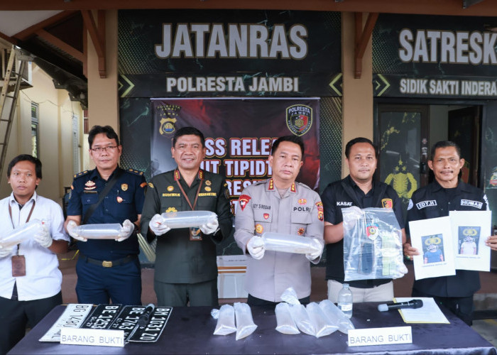 Polresta Jambi Gagalkan Penyelundupan 47.872 Benih Lobster Senilai Rp7,1 Miliar Tujuan Riau