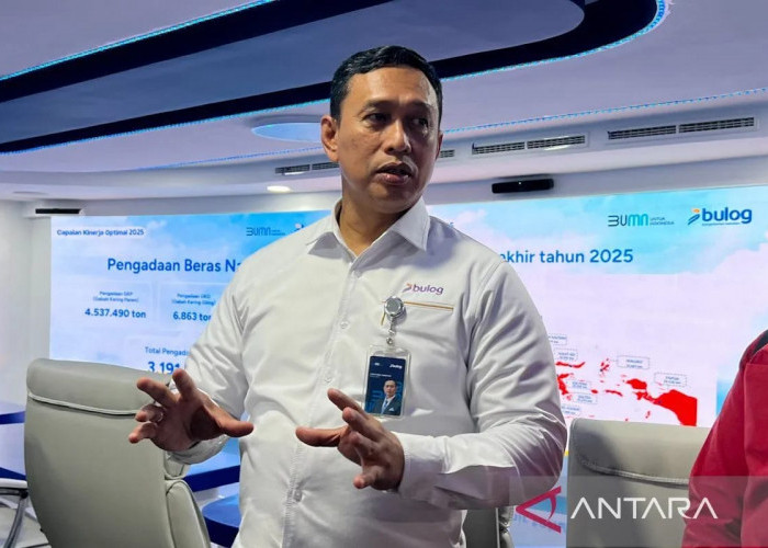 Dirut Bulog Siap Gandeng Karang Taruna kawal Penyerapan Gabah