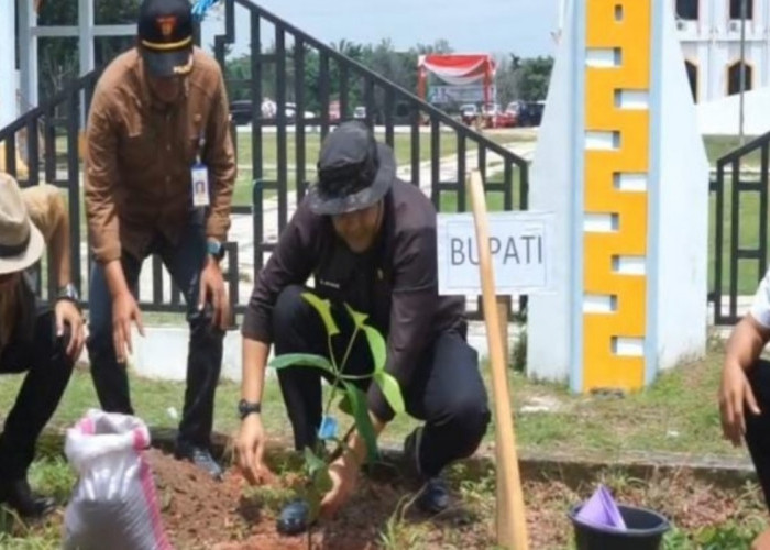Libatkan Generasi Muda, Merangin Tanam 4.000 Pohon Serentak bersama Menteri Lingkungan Hidup