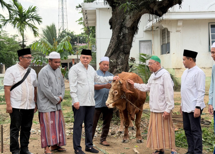 Kementerian ATR/BPN Melalui Kantor Wilayah BPN Provinsi Jambi Menyerahkan Hewan Kurban