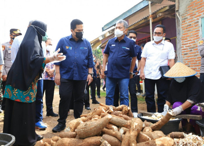 Laba BRI Terbang 106,14%, Erick Thohir: Buah Transformasi Berkelanjutan