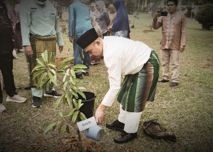 Bupati Dedy Putra Pimpin Penanaman Pohon dalam Rangka HUT Kabupaten Bungo ke-61
