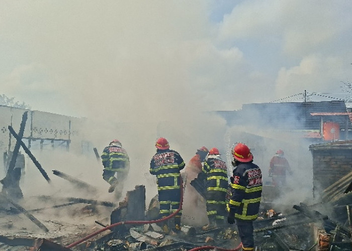 Diduga Korsleting Listrik, Lima Bedeng di Thehok Terbakar