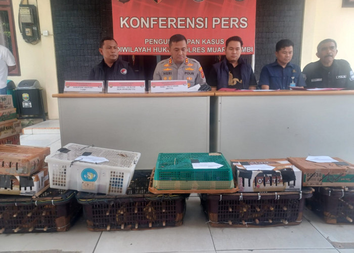 Polres Muaro Jambi Ungkap Perdagangan Satwa Dilindungi, Ratusan Ekor Burung Diamankan