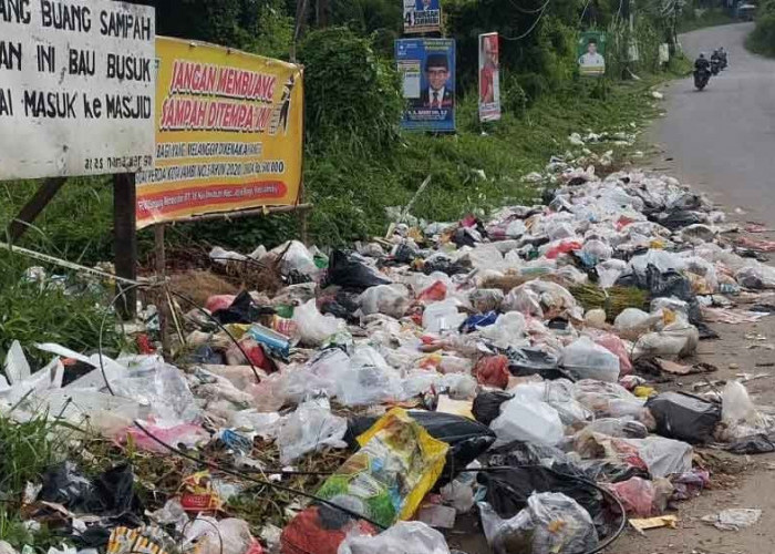 Seorang Warga Kota Jambi Bayar Denda Rp 5 Juta, Gara-Gara Buang Sampah di Luar Ketentuan