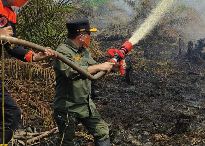 Tak Cuma Pantau, Al Haris Ikut Berjibaku Padamkan Api di Lahan Gambut Air Merah