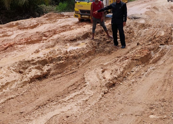 Dewan Usulkan Penambahan Box Culvert, Jalan Nyogan- Bahar Kerap Banjir