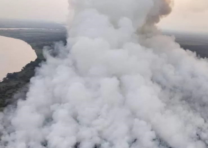 Ratusan Hektare Hutan dan Lahan Terbakar