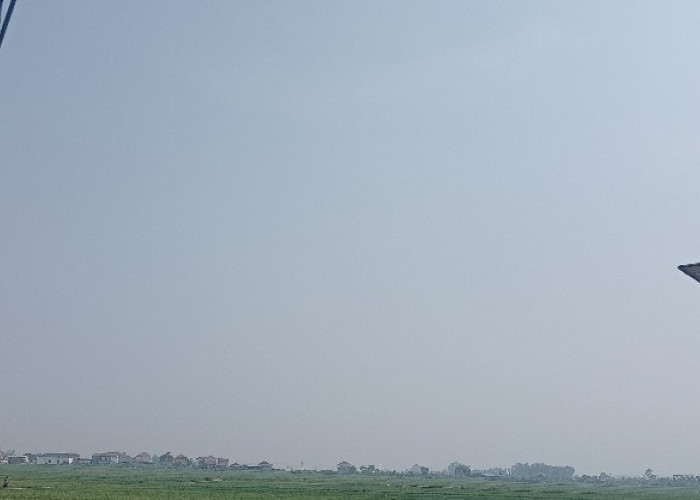 Kabut Asap Menebal di Kerinci dan Sungai Penuh, Warga Diminta Gunakan Masker