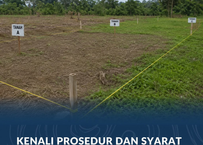 Kenali Prosedur dan Syarat Pemisahan Bidang Tanah