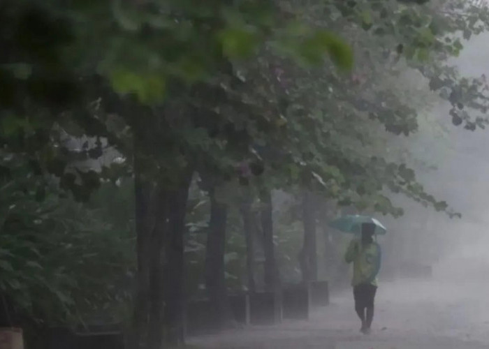 BMKG Prakirakan Sebagian Besar Indonesia Hujan Ringan