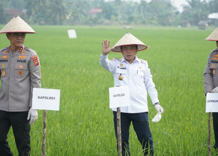 Presiden Prabowo Umumkan Indonesia Swasembada Pangan: Gubernur Al Haris Hadiri Tasyakuran Secara Virtual