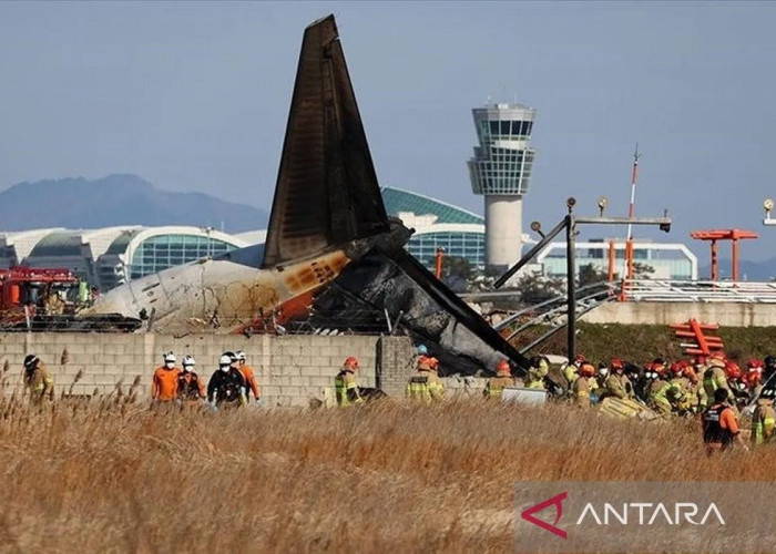 Jumlah Korban Jiwa Kecelakaan Pesawat Jeju Air Jadi 120 Orang